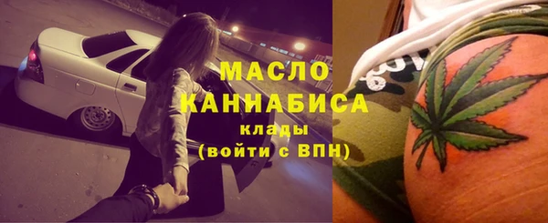 spice Гусев