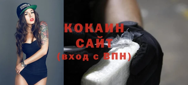 бошки Горняк