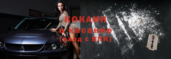 spice Гусев